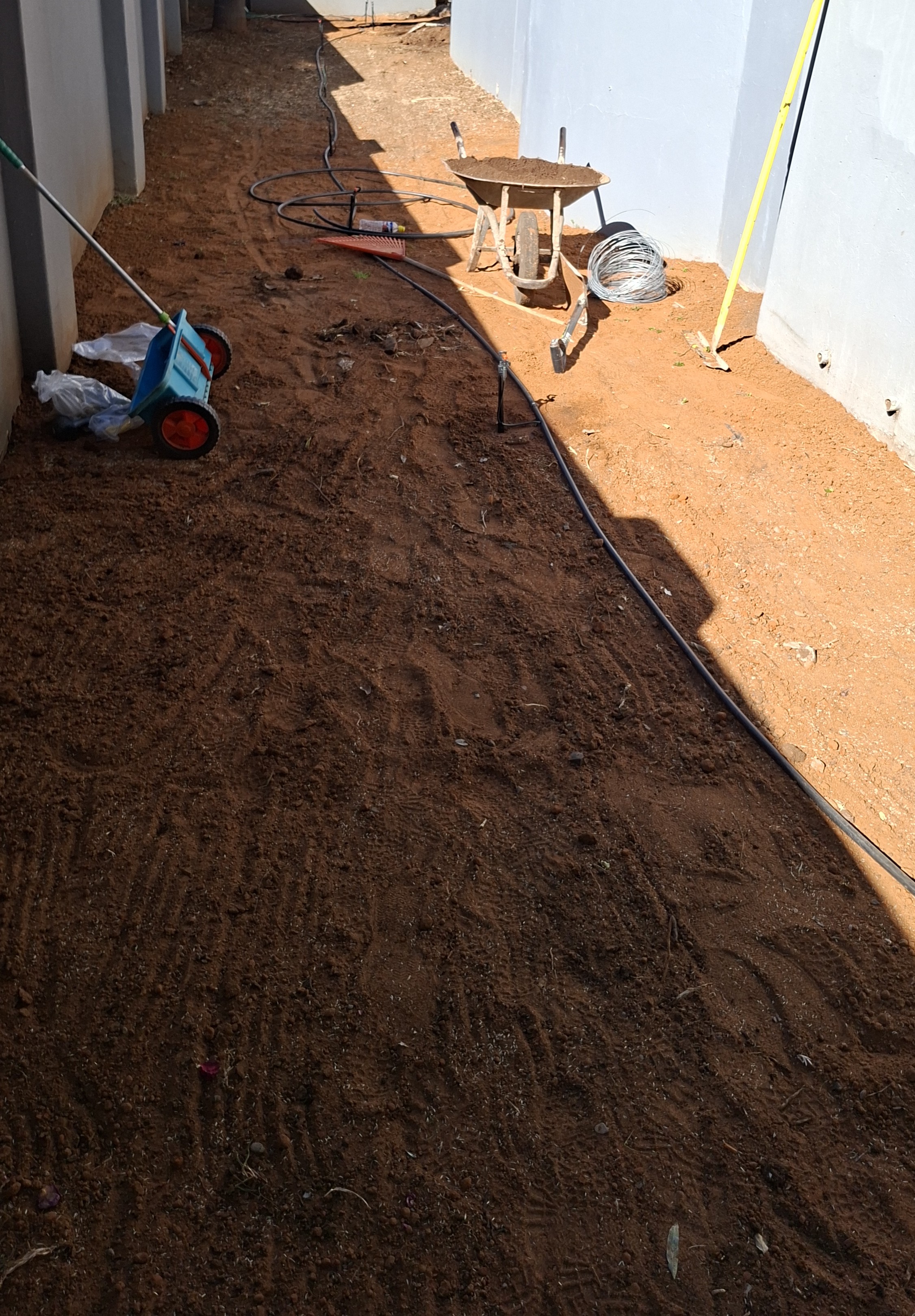 Lawn planting project